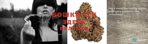 ешки Аркадак