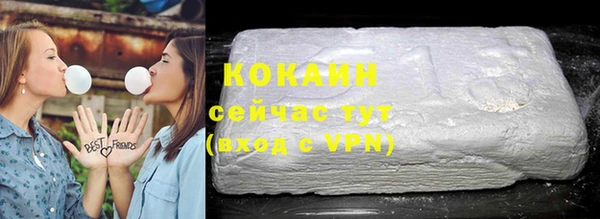 ешки Аркадак