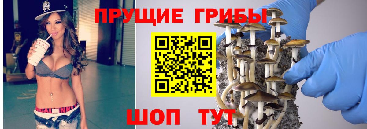 Галлюциногенные грибы Psilocybe Баксан